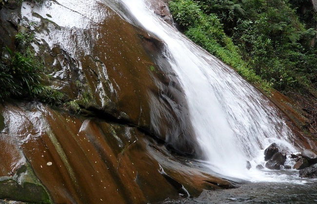 Aguaytia Day Trip - Photo 4