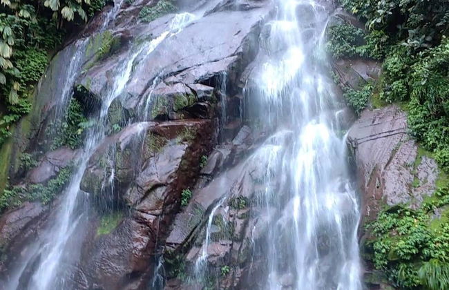 Aguaytia Day Trip - Photo 3