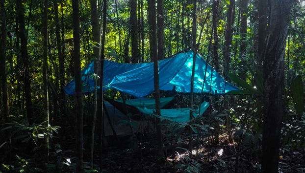 Night in the Amazon Jungle - Photo 2