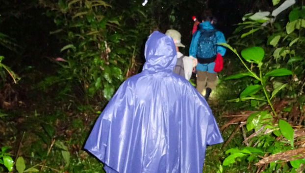 Night in the Amazon Jungle - Photo 4
