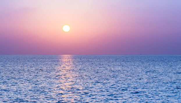 Dolphin Watching in Huraa - Foto 4