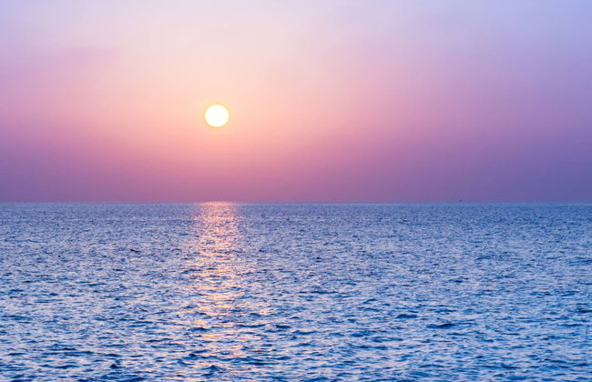 Avistamiento de delfines en Huraa - Foto 4