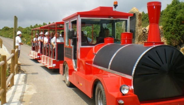 Excursão ao Parque Mineiro do Maestrat e Culla - Foto 3