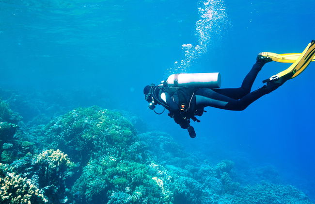 Bautismo de buceo en Morro de São Paulo - Foto 5