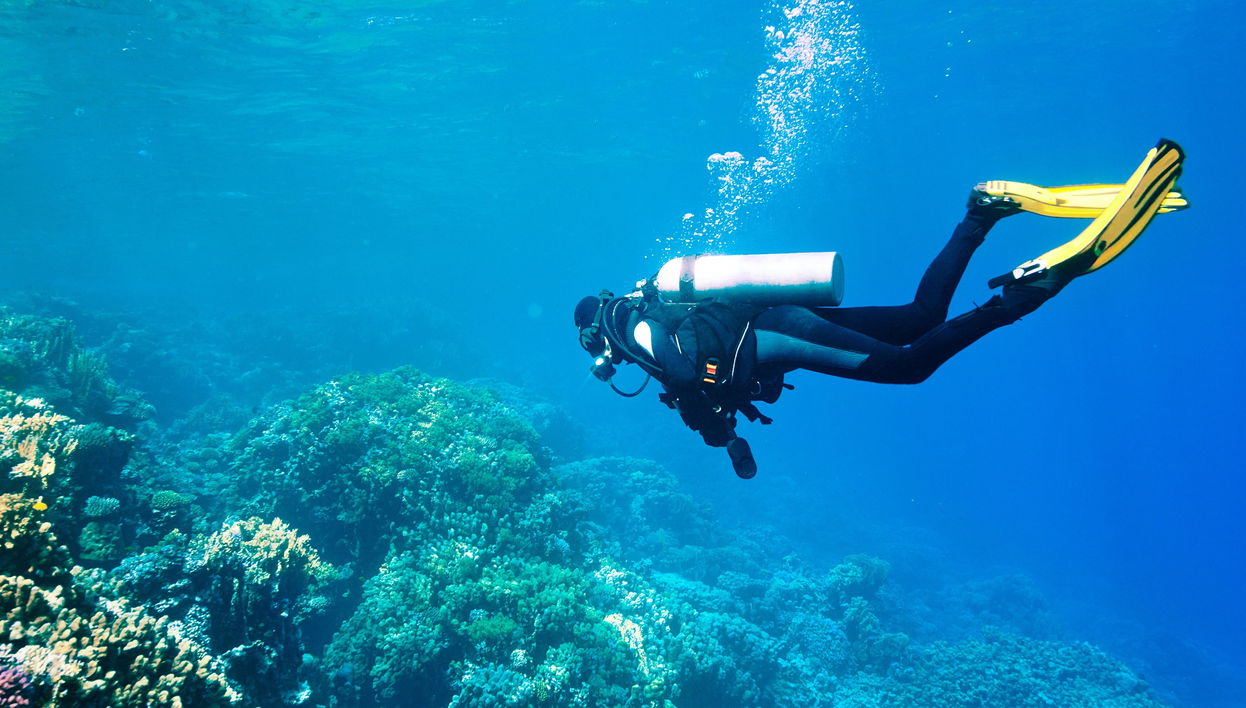 Morro de São Paulo Diving Introuction - Foto 1