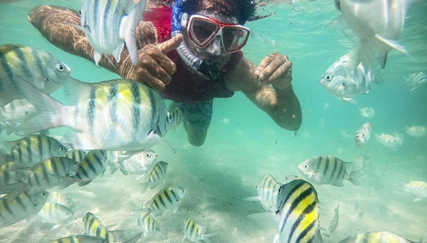 Morro de São Paulo Diving Introuction - Foto 2