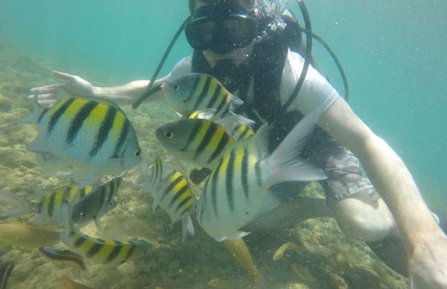 Bautismo de buceo en Morro de São Paulo - Foto 2