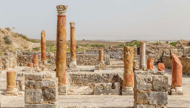 Excursão a Dougga e Bula Régia - Foto 3