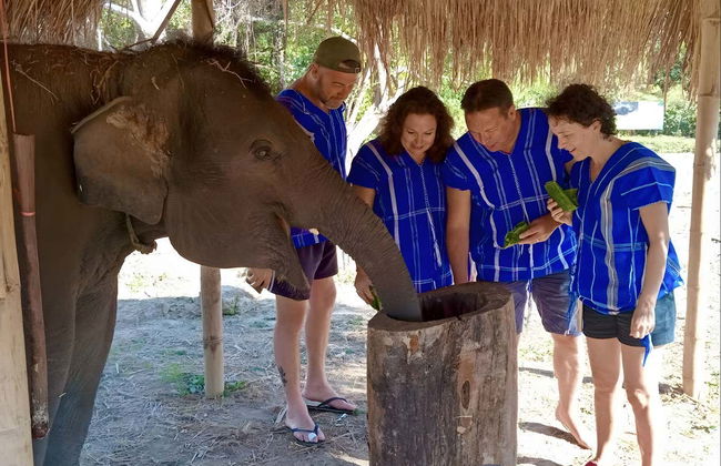 Escursione al santuario degli elefanti - Foto 7