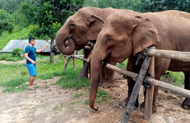 Escursione al santuario degli elefanti - Foto 2