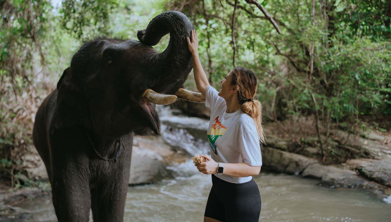 Excursión a una protectora de elefantes - Foto 1