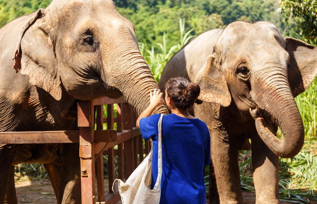 Escursione al santuario degli elefanti - Foto 3