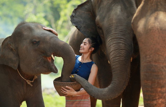 Escursione al santuario degli elefanti - Foto 1