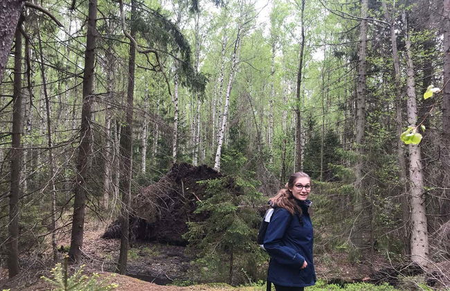 Safári pelos bosques de Estocolmo - Foto 9