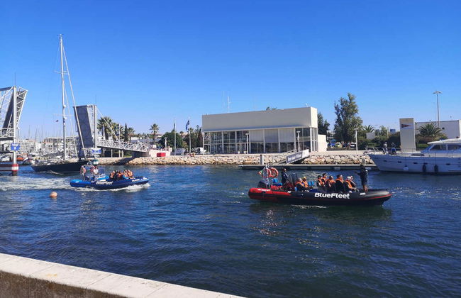 Avvistamento di delfini a Lagos - Foto 4
