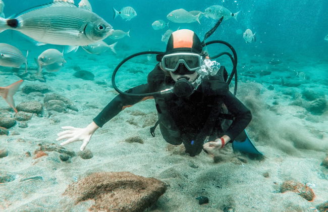 Bautismo de buceo en la playa de Migjorn - Foto 1