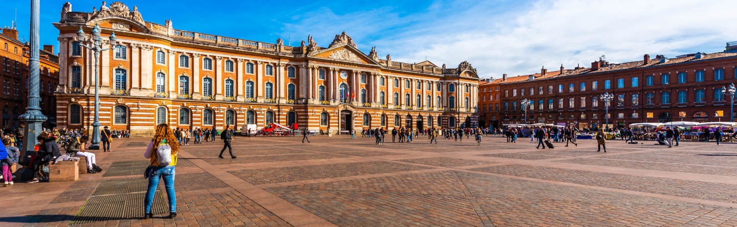 Private Tour of Toulouse - Photo 1