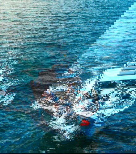 Foto - Passeio de barco pela baía de Estepona