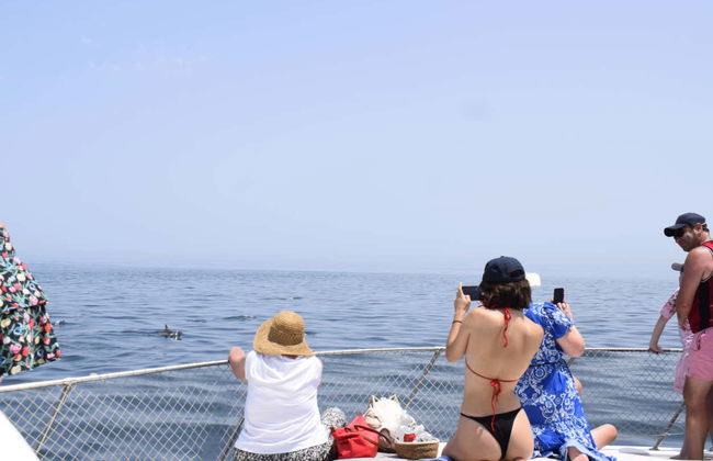 Balade en bateau dans la baie d'Estepona - Photo 10