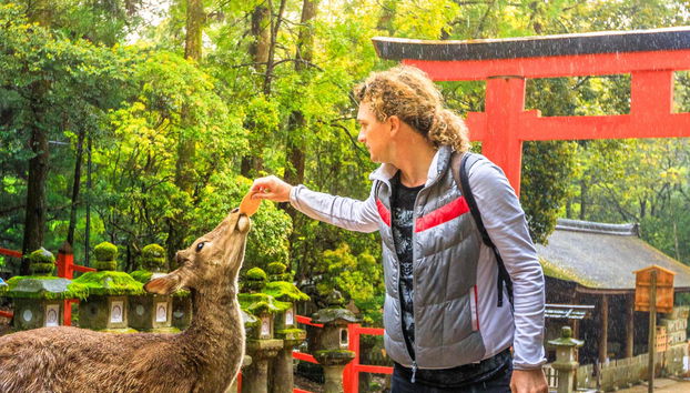 Escursione ad Arashiyama, Kinkakuji e Nara - Foto 3