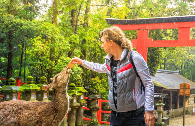 Escursione ad Arashiyama, Kinkakuji e Nara - Foto 3