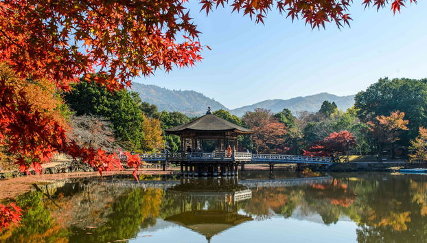 Escursione ad Arashiyama, Kinkakuji e Nara - Foto 4