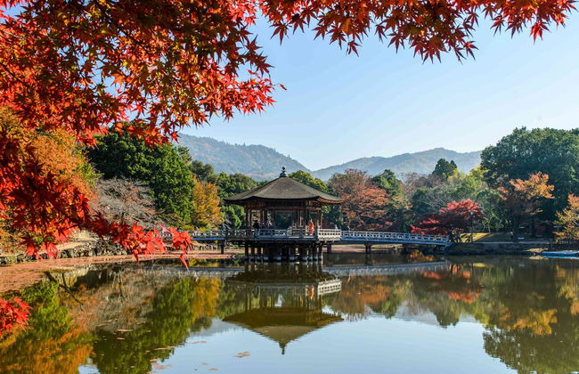 Escursione ad Arashiyama, Kinkakuji e Nara - Foto 4