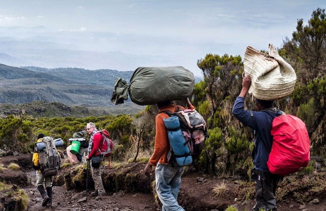 Mount Kilimanjaro Hike: 10 Days - Photo 3