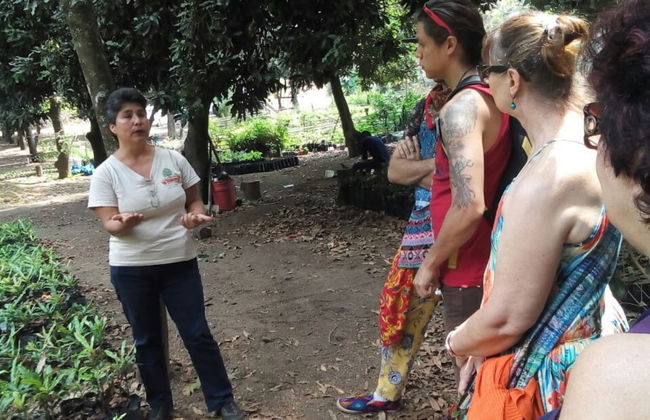 Antigua Guatemala Day Trip - Foto 5