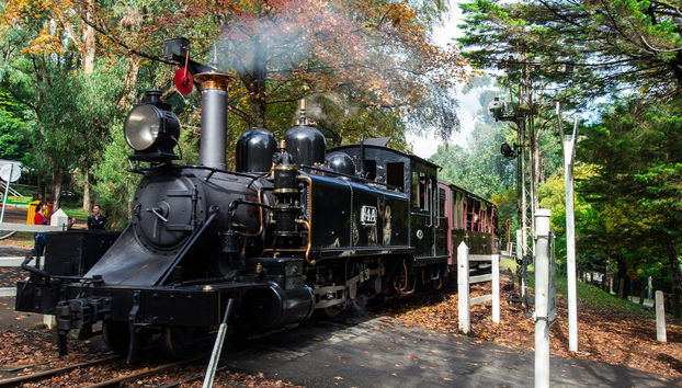 Excursão ao Santuário de Healesville + Trem Puffing Billy - Foto 2