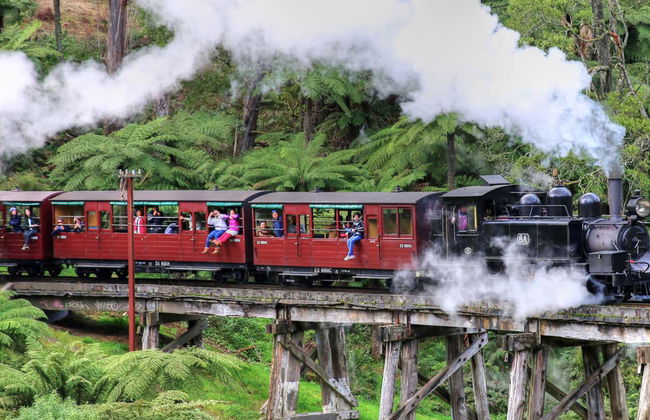 Escursione al Santuario di Healesville + Treno Puffing Billy - Foto 3