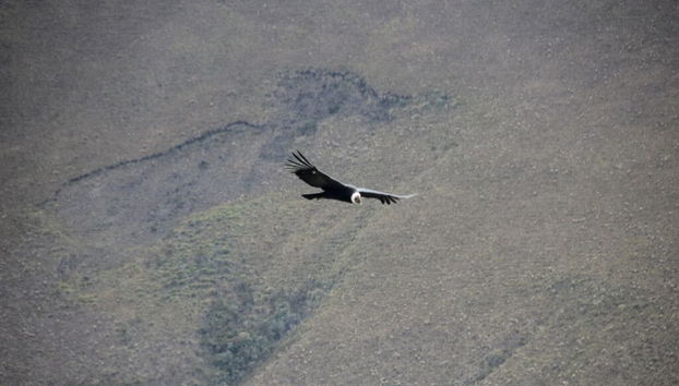 Santa Isabel Volcano 2-Day Private Hike - Foto 5