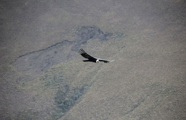 Santa Isabel Volcano 2-Day Private Hike - Foto 5