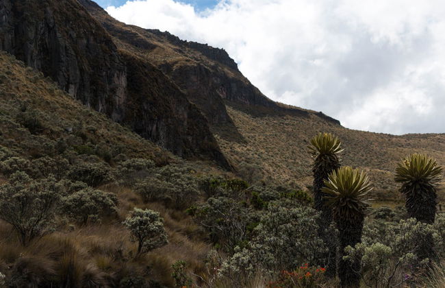Santa Isabel Volcano 2-Day Private Hike - Foto 6