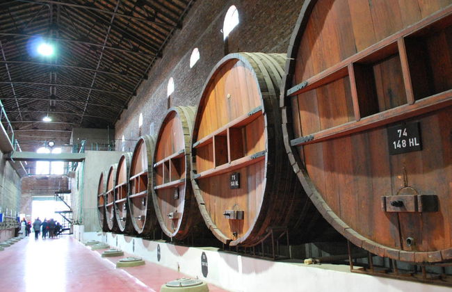 Excursión por las bodegas de Colonia Caroya - Foto 2