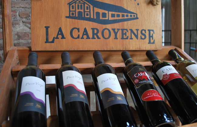 Excursión por las bodegas de Colonia Caroya - Foto 3