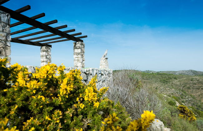 Tour en bicicleta eléctrica a la Cañada del Lobo - Foto 1