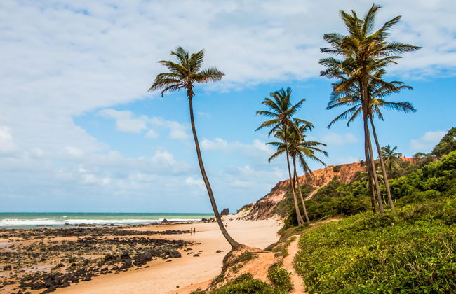 Excursión a las playas de Pipa - Foto 6