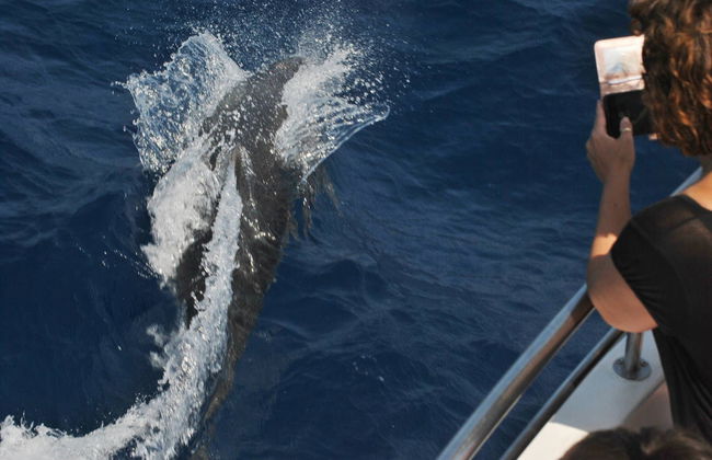 Benalmádena Dolphin Watching - Foto 5