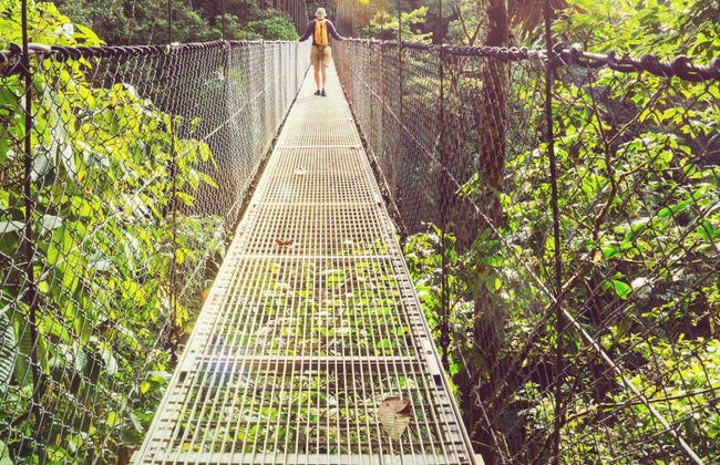 Visite sur les ponts suspendus de Mistico Park - Photo 4