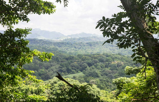 Metropolitan Park, Ancon Hill, & Culebra Point - Foto 2