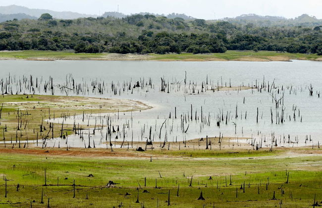 Metropolitan Park, Ancon Hill, & Culebra Point - Foto 6