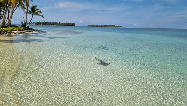 Excursão às ilhas de San Blas - Foto 2