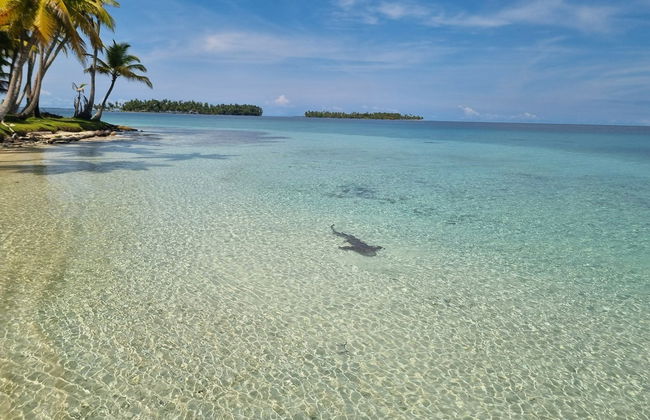 Excursion aux îles San Blas - Photo 2