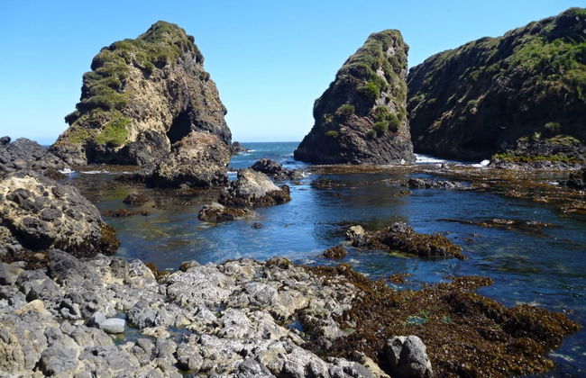 Chiloe Island: Chacao, Ancud & Puñihuil Penguins - Foto 5