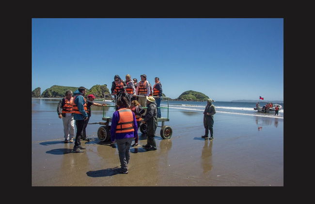 Ilha de Chiloé: Chacao, Ancud e pinguins de Puñihuil - Foto 6