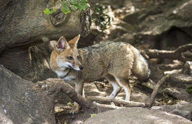 Excursión privada a Piriápolis - Foto 3