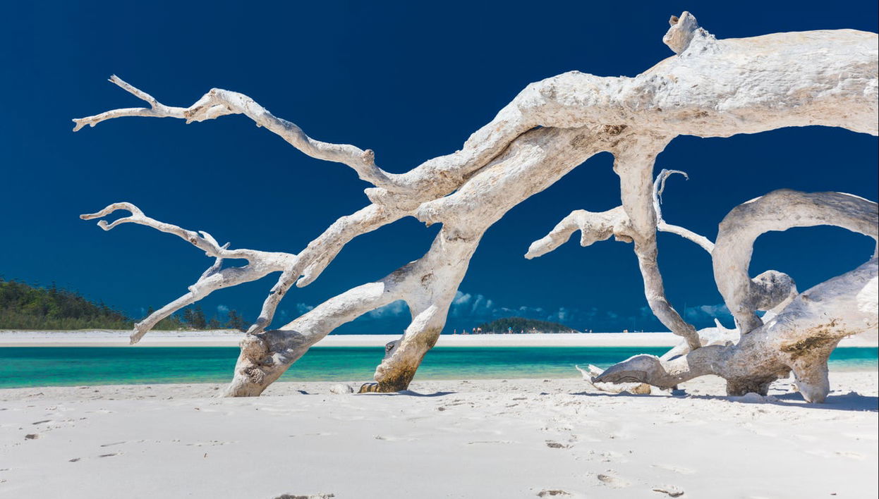 Excursión a la isla Whitsunday y Hook Island con snorkel - Foto 1