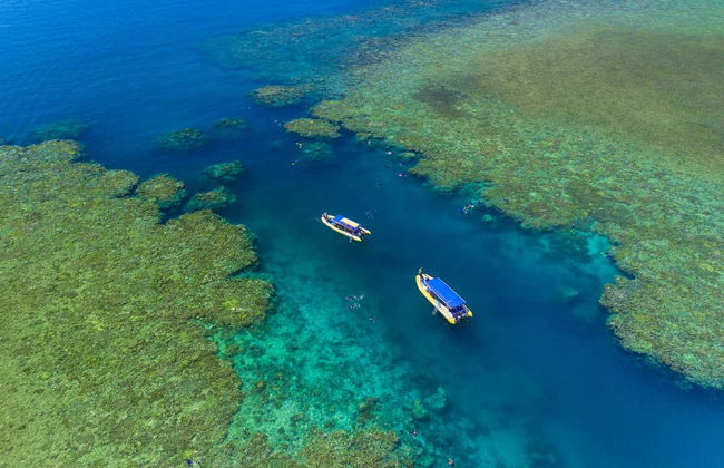 Escursione all'isola di Whitsunday e Hook Island con snorkeling - Foto 7