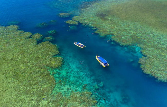 Excursión a la isla Whitsunday y Hook Island con snorkel - Foto 8